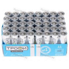 Эл. пит. AA alkaline BULK Трофи Eco (40)
