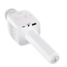 Микрофон-динамик Hoco BK5 Cantando karaoke microphone (белый)