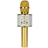 Микрофон Hoco BK3 динамический 72 дБ bluetooth 4.2 microSD золотой