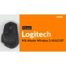 Мышь Logitech MX Master Wireless Mouse 2.4GHZ/BT B2B Box