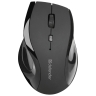 Мышь Defender Accura MM-295, черная, беспроводная, 6 кнопок, 800-1600 dpi, USB
