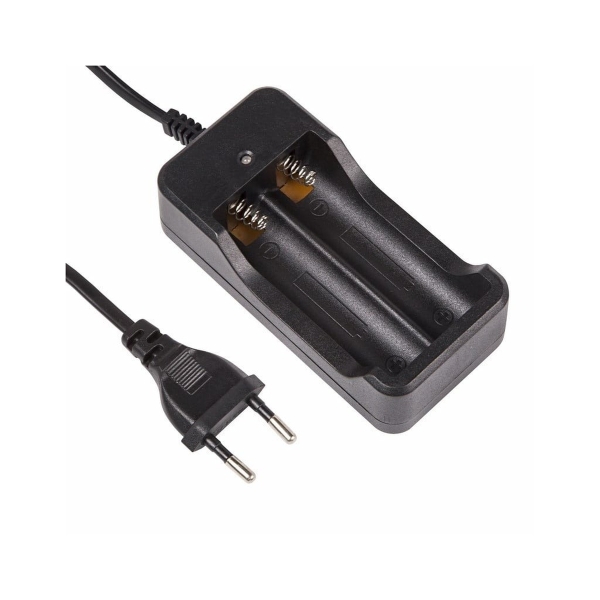 Устройство зарядное для Li-ion аккумуляторов 18650 универсальное PROconnect (10/100)