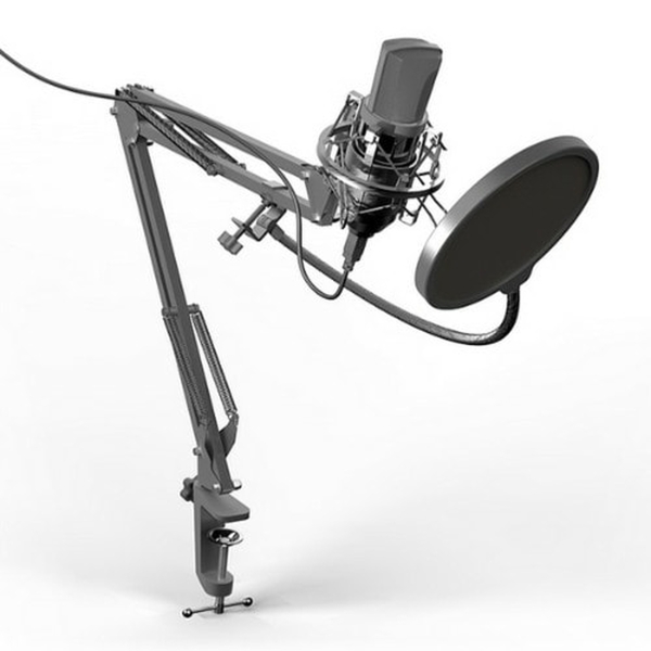 Микрофон Ritmix RDM-169, черный, настольный (1/8)