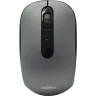 Мышь беспроводная Smartbuy ONE 262AG серебро (SBM-262AG-G)