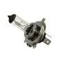 Автолампа Эра Н4 12V 55W P43t
